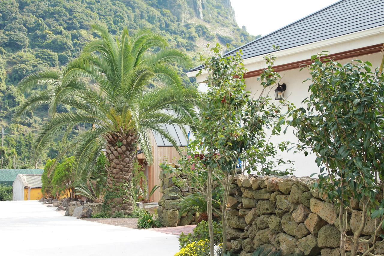 Mirvill Pension & Resort ソギポ エクステリア 写真